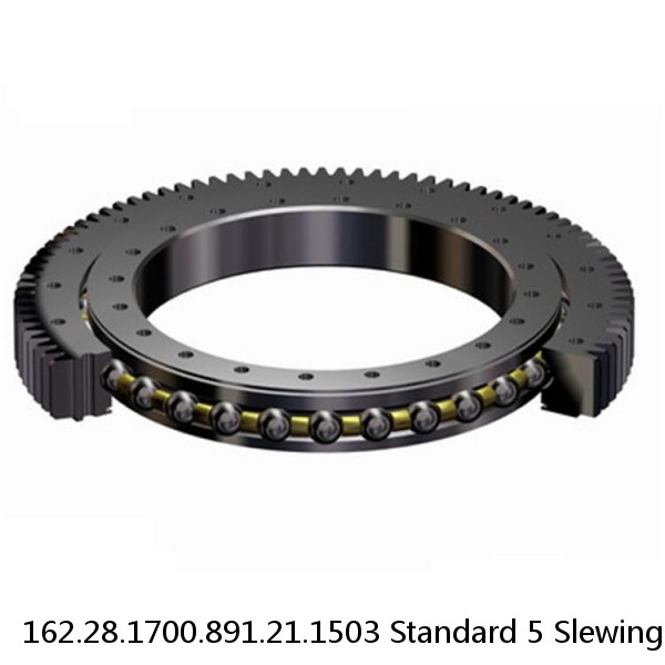 162.28.1700.891.21.1503 Standard 5 Slewing Ring Bearings