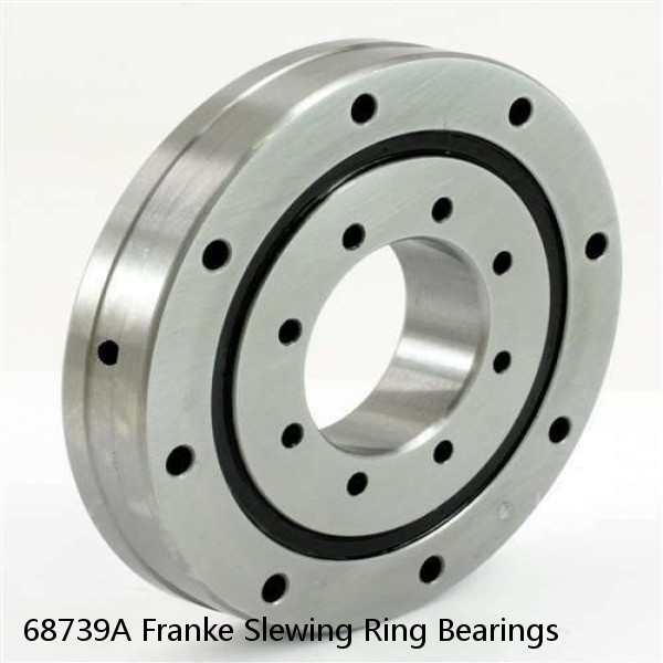 68739A Franke Slewing Ring Bearings