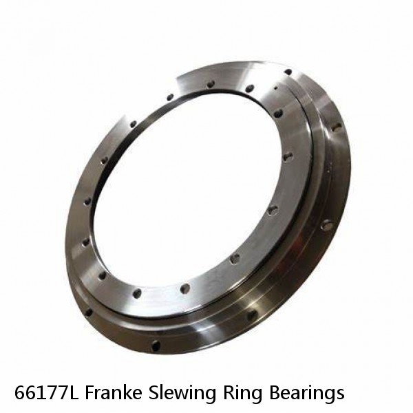 66177L Franke Slewing Ring Bearings