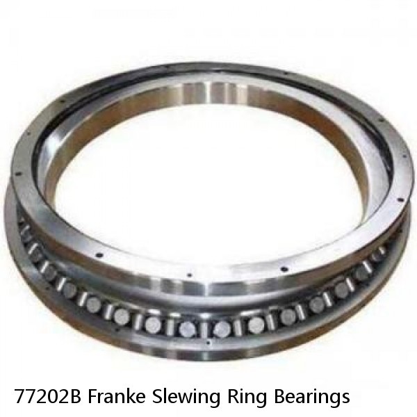 77202B Franke Slewing Ring Bearings #1 small image