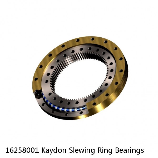 16258001 Kaydon Slewing Ring Bearings #1 small image