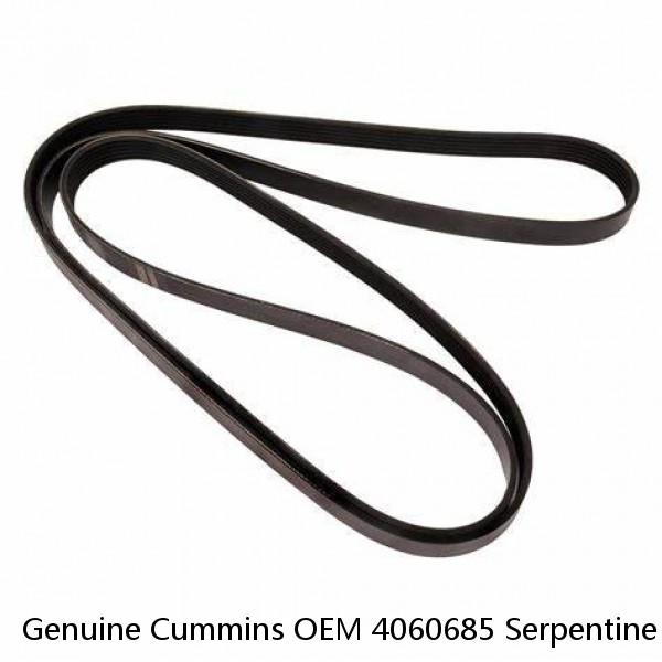 Genuine Cummins OEM 4060685 Serpentine Belt - K060685, 4060686 , 685K6MK #1 small image