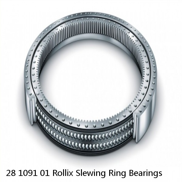 28 1091 01 Rollix Slewing Ring Bearings #1 small image