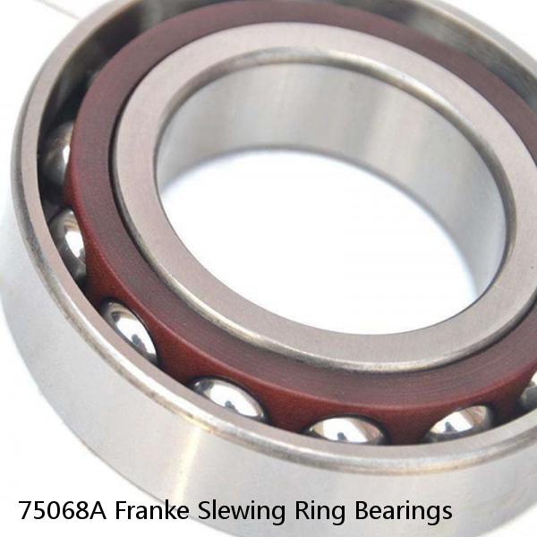 75068A Franke Slewing Ring Bearings #1 image