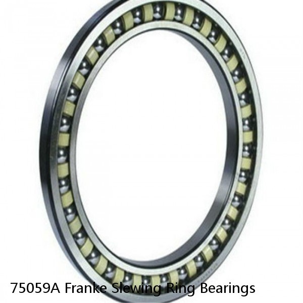75059A Franke Slewing Ring Bearings #1 image