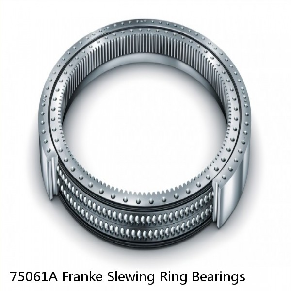 75061A Franke Slewing Ring Bearings #1 image