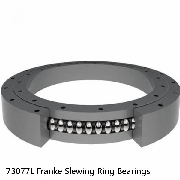 73077L Franke Slewing Ring Bearings #1 image