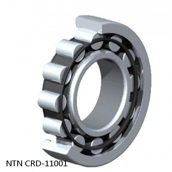 CRD-11001 NTN Cylindrical Roller Bearing #1 image