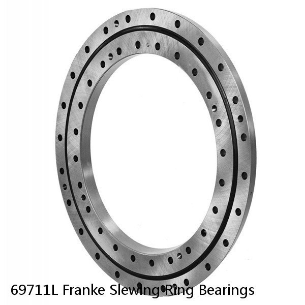69711L Franke Slewing Ring Bearings #1 image